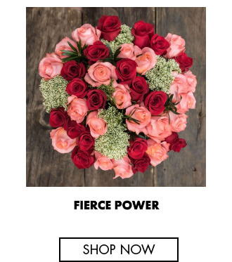 Recycled Roses: A Guide to Living Luxuriously for Less - 🚨Dupe