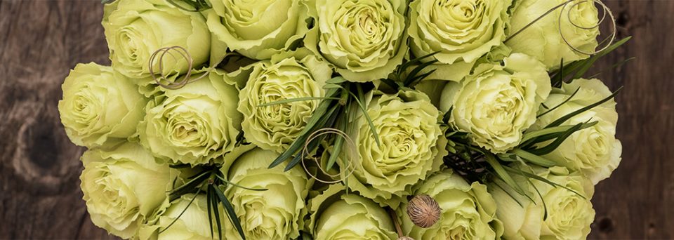 the-real-meaning-behind-green-roses-sense-ecuador