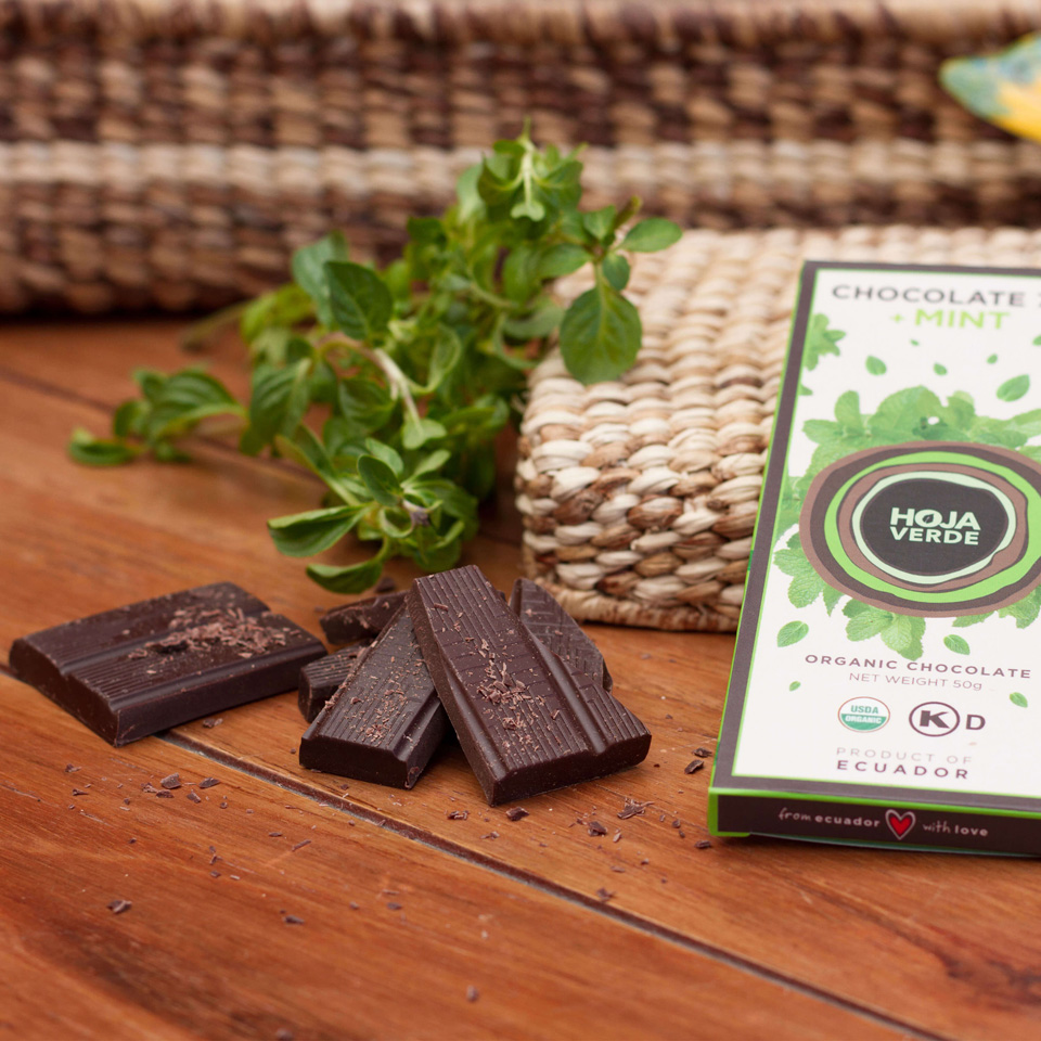 66% Chocolate + Mint: 10 Bars of 1.76 Oz each - Organic Dark Chocolate