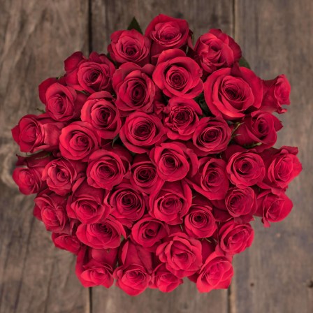 Amour: Red Roses - Exotic flowers from Ecuador
