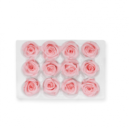 01_light_pink_mini_roses