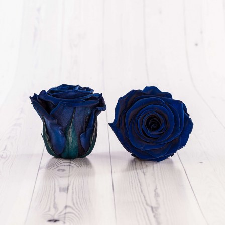 02_blue_roses_button