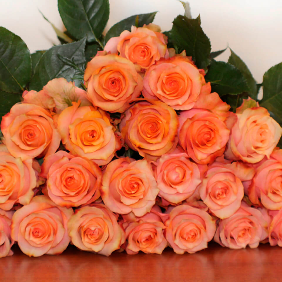 Twilight Valentine Roses Bouquet
